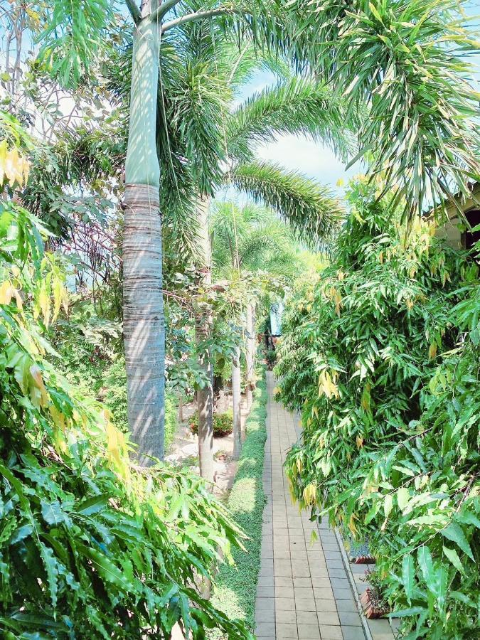 Baan Karnjana Hotel Samui 苏梅岛 外观 照片